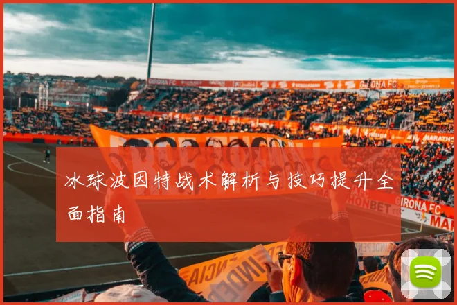 冰球波因特战术解析与技巧提升全面指南