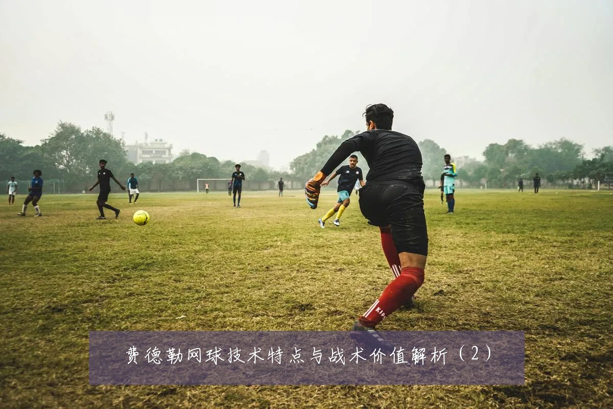费德勒网球技术特点与战术价值解析(2)