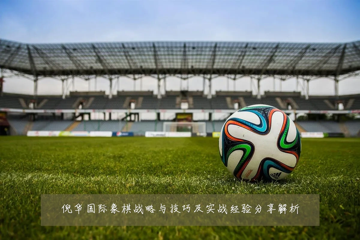 倪华国际象棋战略与技巧及实战经验分享解析