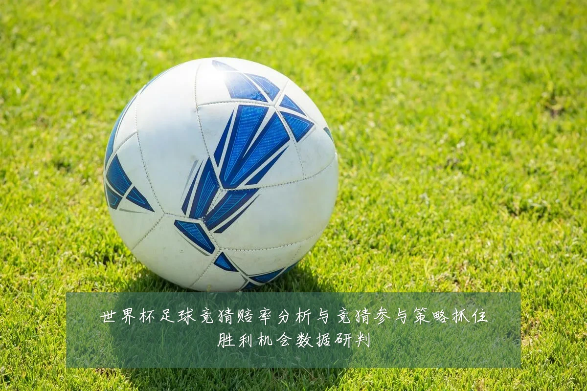 世界杯足球竞猜赔率分析与竞猜参与策略抓住胜利机会数据研判